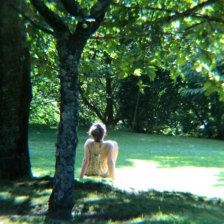 Vakantiehuis Pool Espigueiro I *