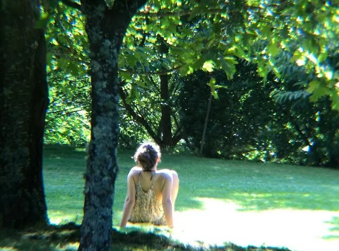 度假居 Pool Espigueiro I *